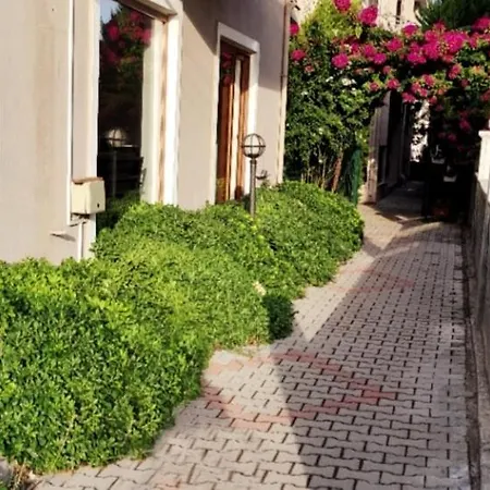 Modern For 6 People In Center