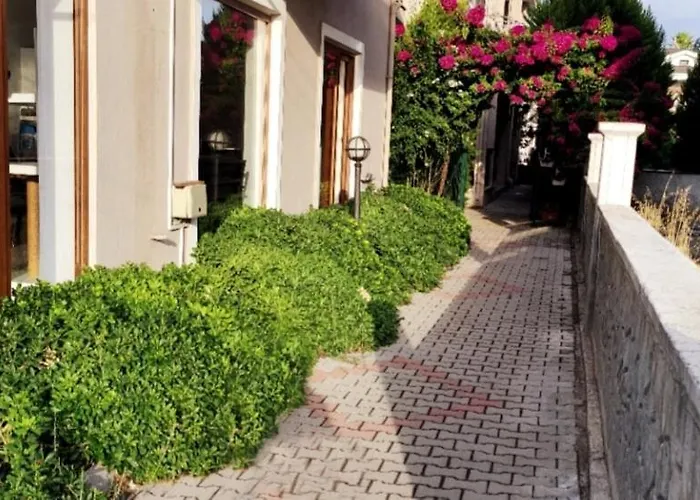 Modern For 6 People In Center