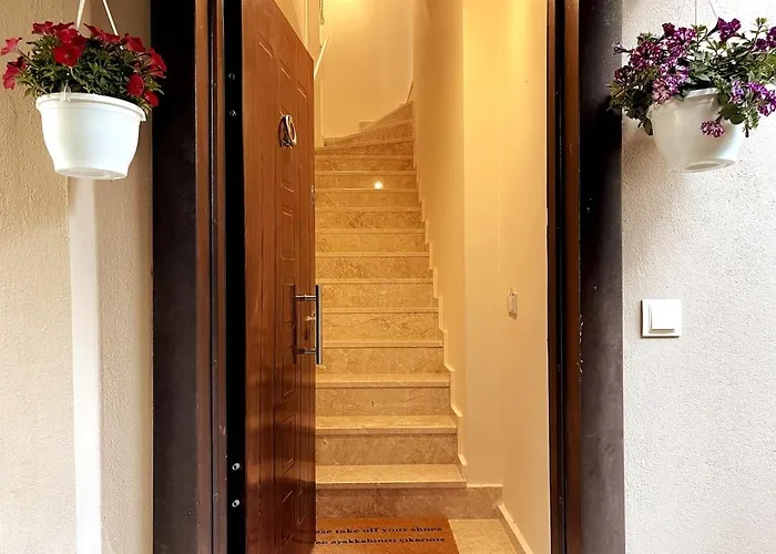 Modern For 6 People In Center